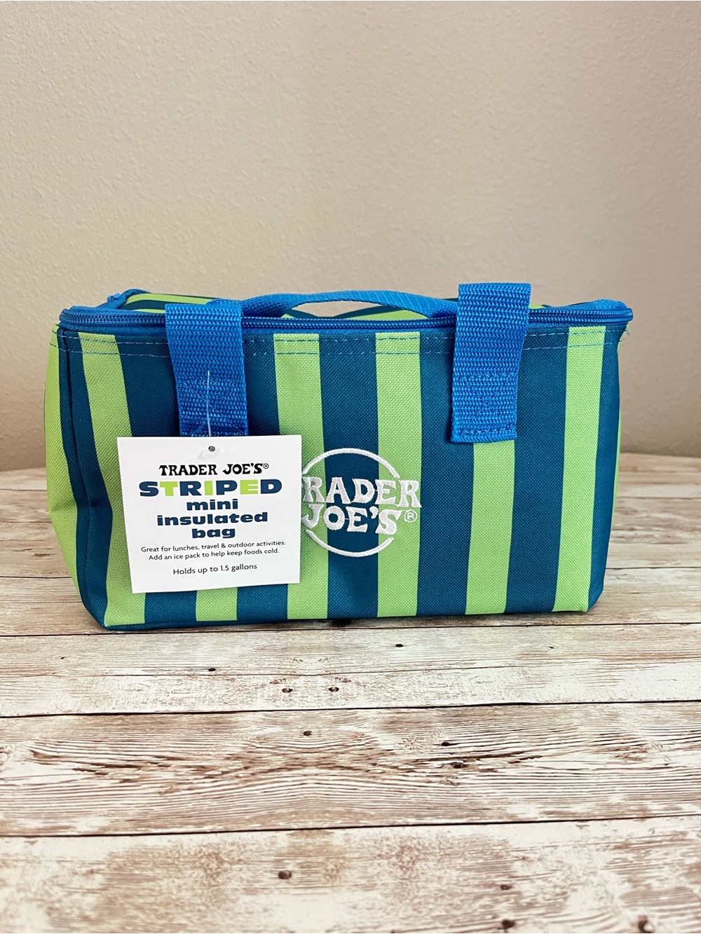 Trader Joe’s Mini Insulated Tote: blue-and-green stripes🌸